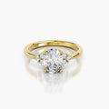 Fairbourne Solitaire