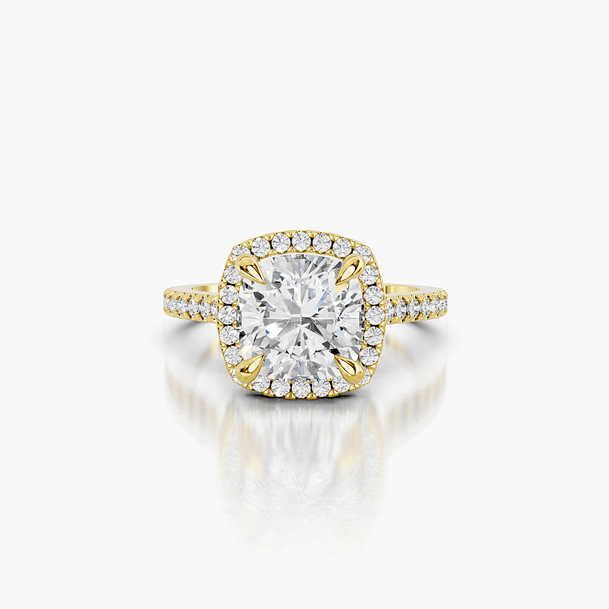 Siena Halo