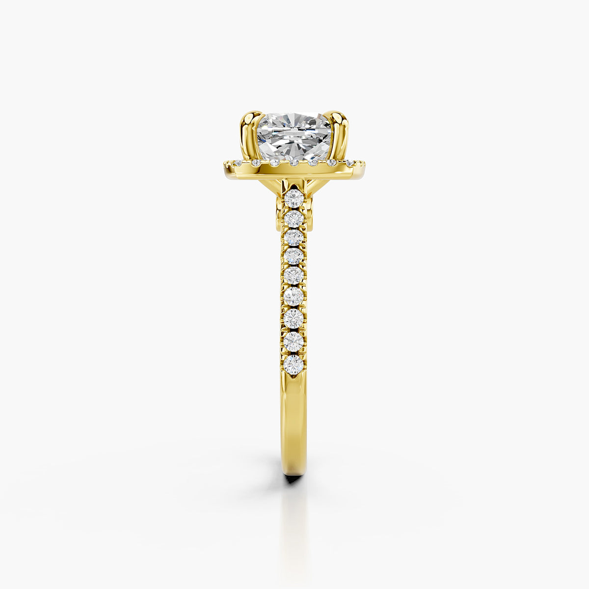 Siena Halo