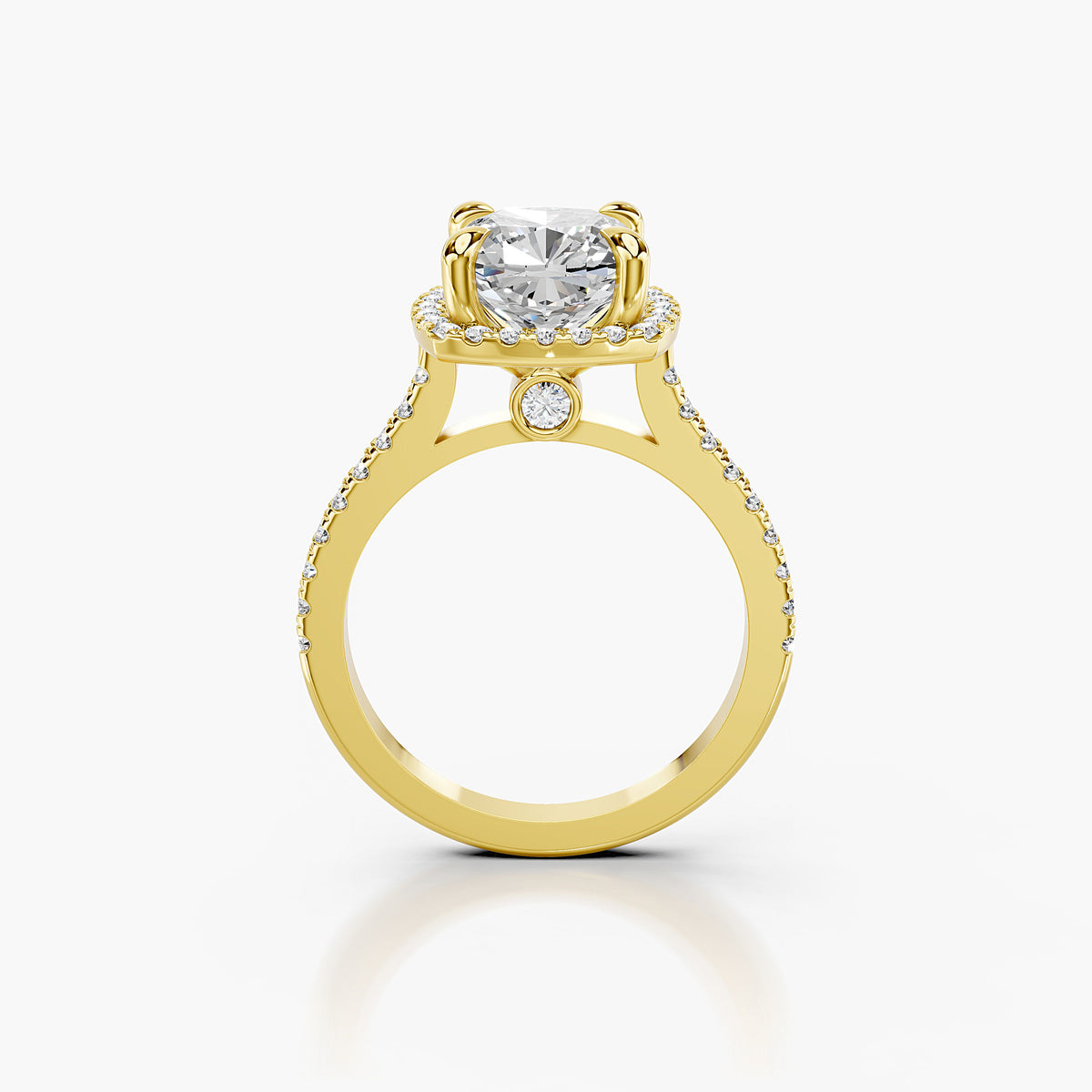 Siena Halo